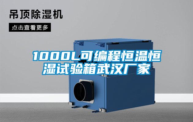1000L可編程恒溫恒濕試驗箱武漢廠家