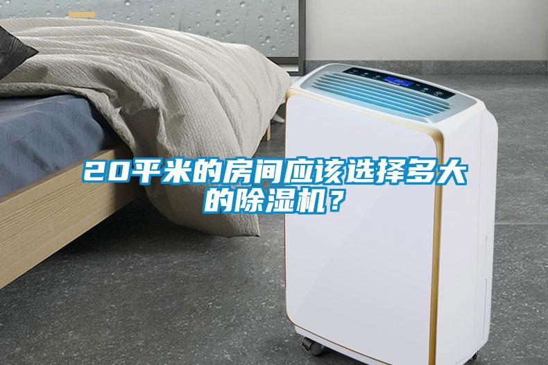 20平米的房間應該選擇多大的除濕機？