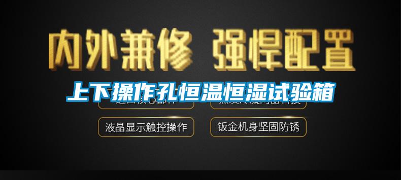 上下操作孔恒溫恒濕試驗箱