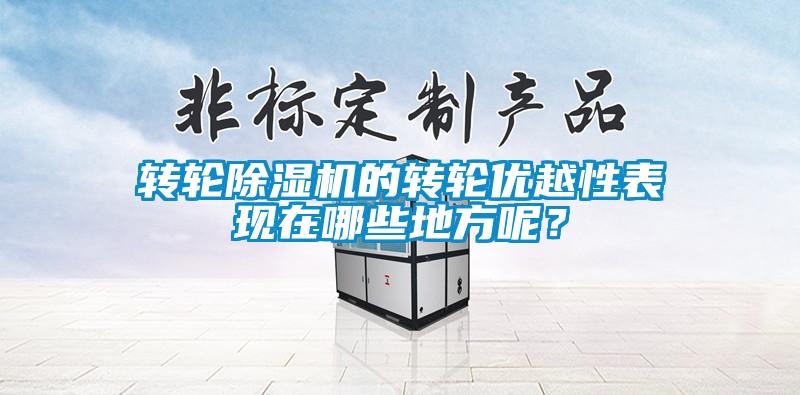 轉輪除濕機的轉輪優越性表現在哪些地方呢？