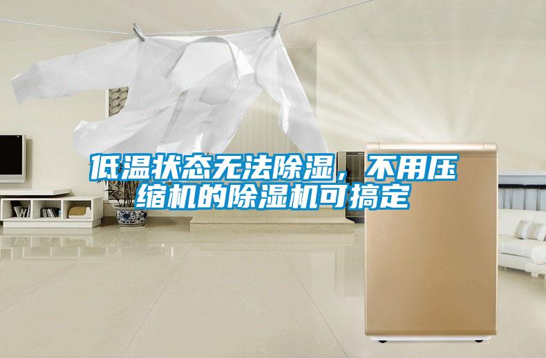 低溫狀態(tài)無法除濕，不用壓縮機的除濕機可搞定