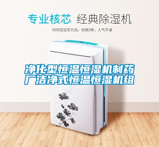 凈化型恒溫恒濕機(jī)制藥廠(chǎng)潔凈式恒溫恒濕機(jī)組