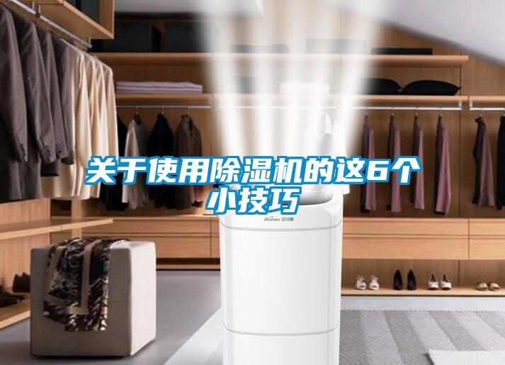 關(guān)于使用除濕機的這6個小技巧