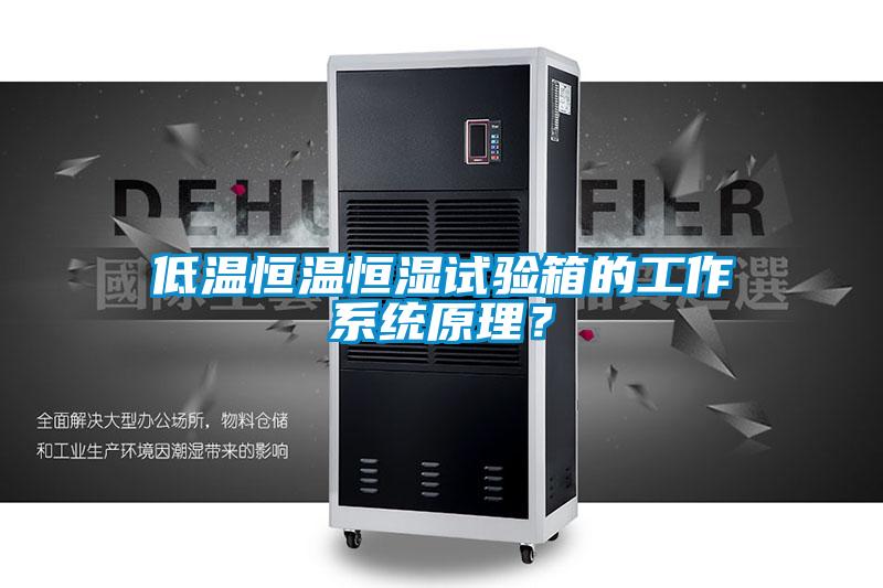 低溫恒溫恒濕試驗箱的工作系統原理？