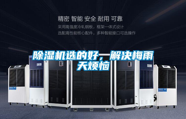 除濕機選的好，解決梅雨天煩惱