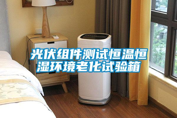 光伏組件測試恒溫恒濕環(huán)境老化試驗(yàn)箱