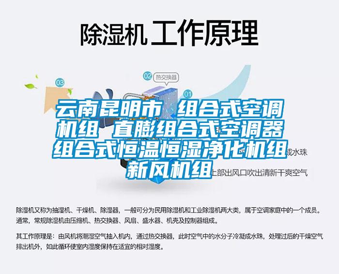 云南昆明市 組合式空調機組 直膨組合式空調器組合式恒溫恒濕凈化機組新風機組