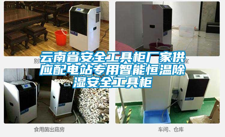 云南省安全工具柜廠家供應(yīng)配電站專用智能恒溫除濕安全工具柜