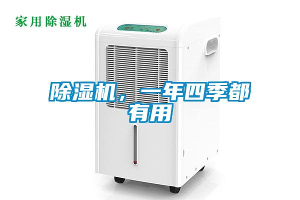 除濕機，一年四季都有用