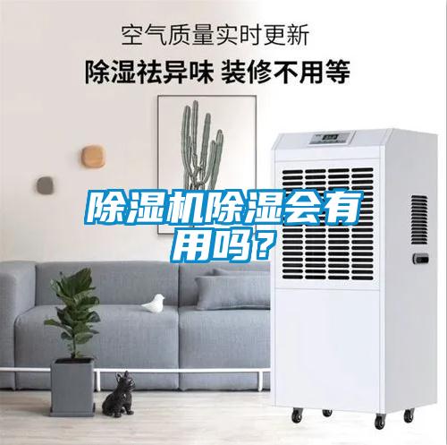 除濕機除濕會有用嗎？