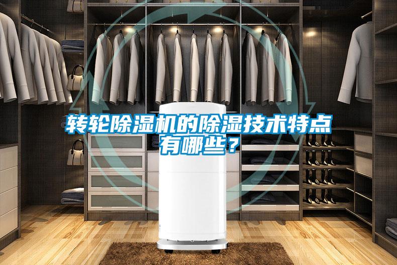 轉輪除濕機的除濕技術特點有哪些？