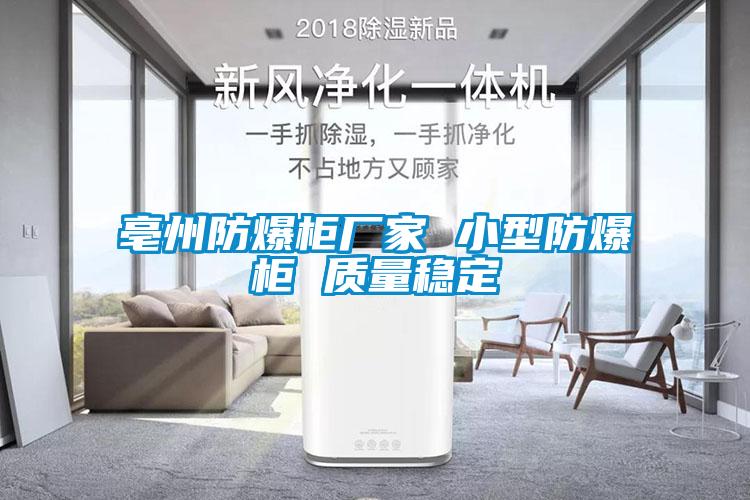 亳州防爆柜廠家 小型防爆柜 質量穩定