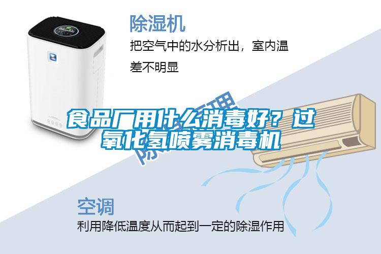食品廠用什么消毒好？過氧化氫噴霧消毒機