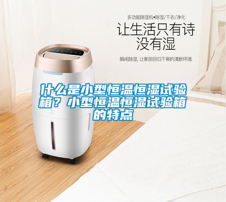 什么是小型恒溫恒濕試驗箱？小型恒溫恒濕試驗箱的特點