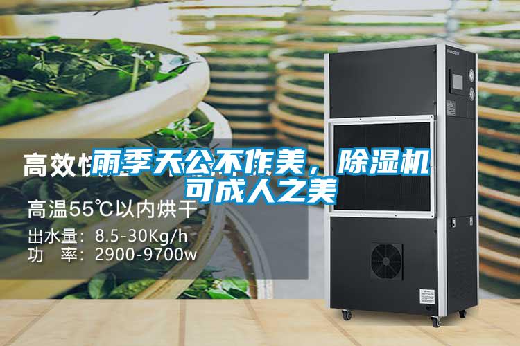 雨季天公不作美，除濕機(jī)可成人之美
