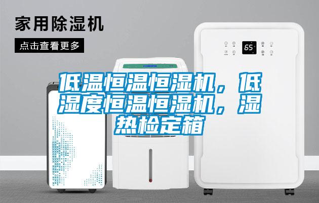 低溫恒溫恒濕機，低濕度恒溫恒濕機，濕熱檢定箱