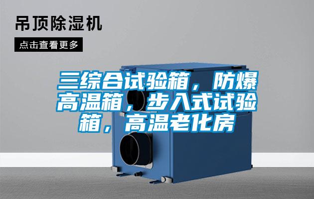 三綜合試驗(yàn)箱，防爆高溫箱，步入式試驗(yàn)箱，高溫老化房