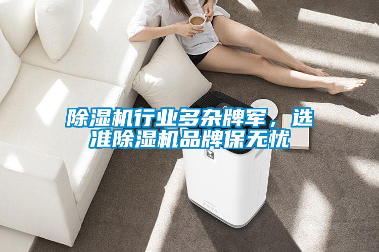 除濕機行業(yè)多雜牌軍，選準除濕機品牌保無憂