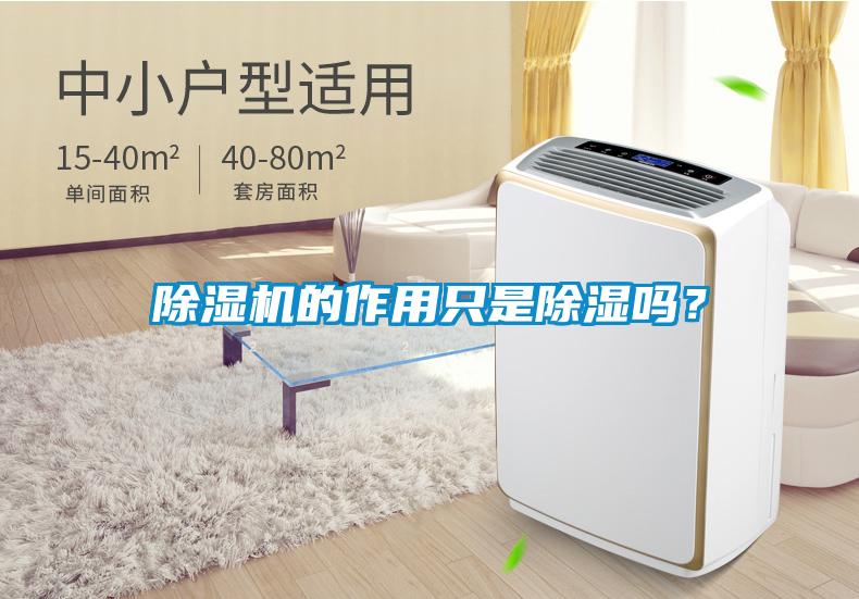 除濕機的作用只是除濕嗎？