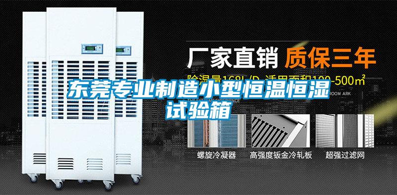 東莞專業(yè)制造小型恒溫恒濕試驗箱