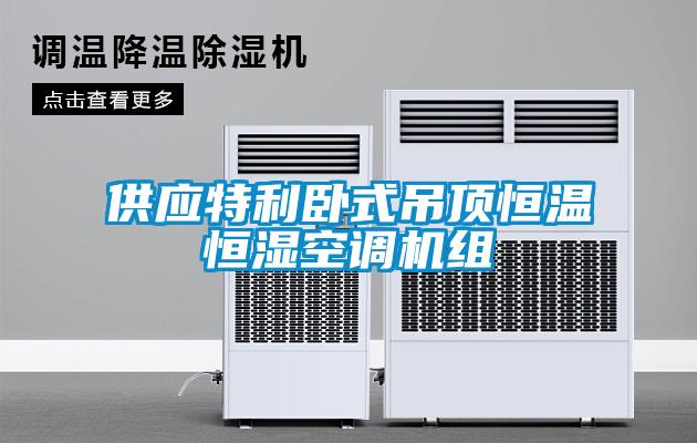 供應特利臥式吊頂恒溫恒濕空調機組