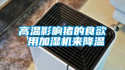 高溫影響豬的食欲 用加濕機(jī)來降溫