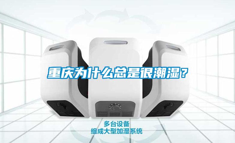 重慶為什么總是很潮濕？