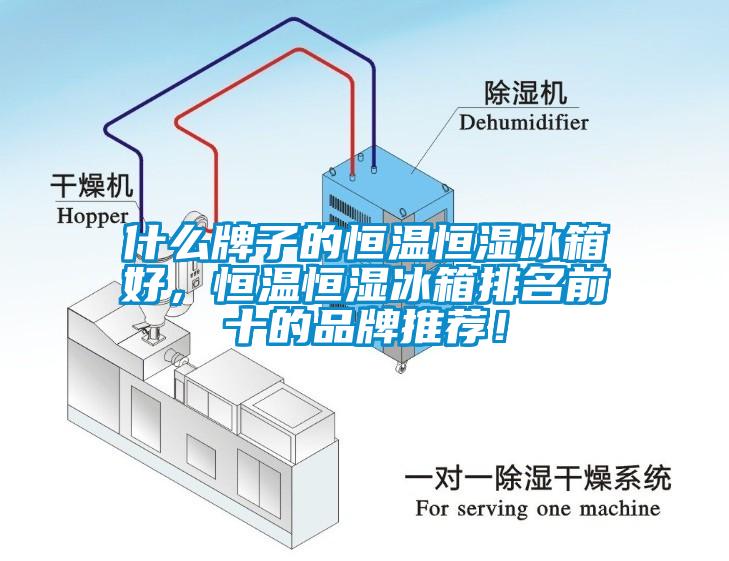 什么牌子的恒溫恒濕冰箱好，恒溫恒濕冰箱排名前十的品牌推薦！