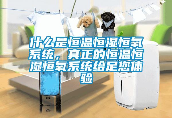 什么是恒溫恒濕恒氧系統，真正的恒溫恒濕恒氧系統給足您體驗