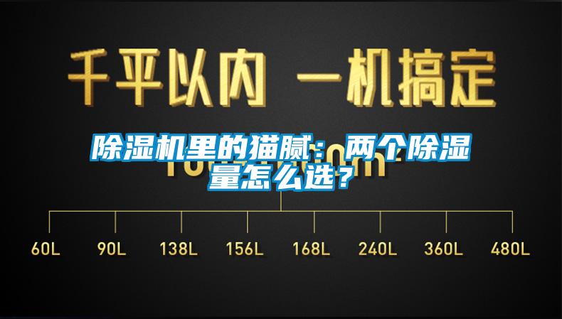 除濕機里的貓膩：兩個除濕量怎么選？