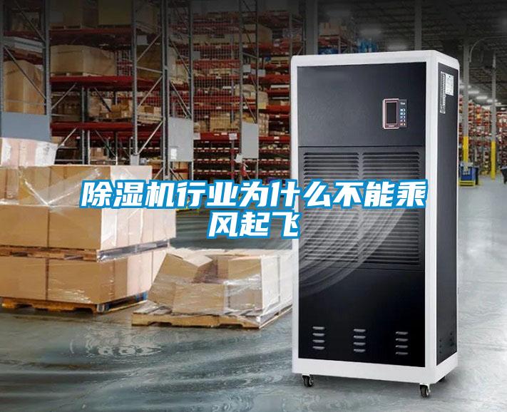 除濕機行業(yè)為什么不能乘風(fēng)起飛