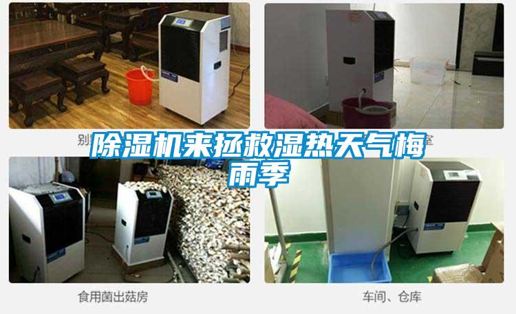 除濕機來拯救濕熱天氣梅雨季