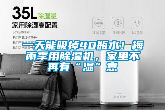 一天能吸掉40瓶水！梅雨季用除濕機，家里不再有“濕”意