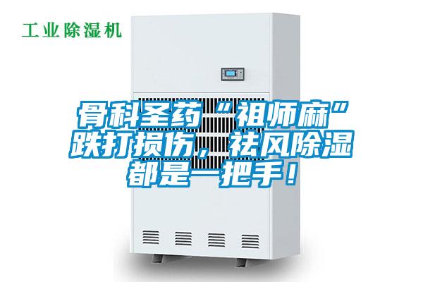 骨科圣藥“祖師麻”跌打損傷，祛風(fēng)除濕都是一把手！