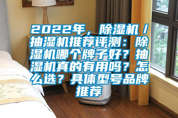 2022年，除濕機／抽濕機推薦評測：除濕機哪個牌子好？抽濕機真的有用嗎？怎么選？具體型號品牌推薦