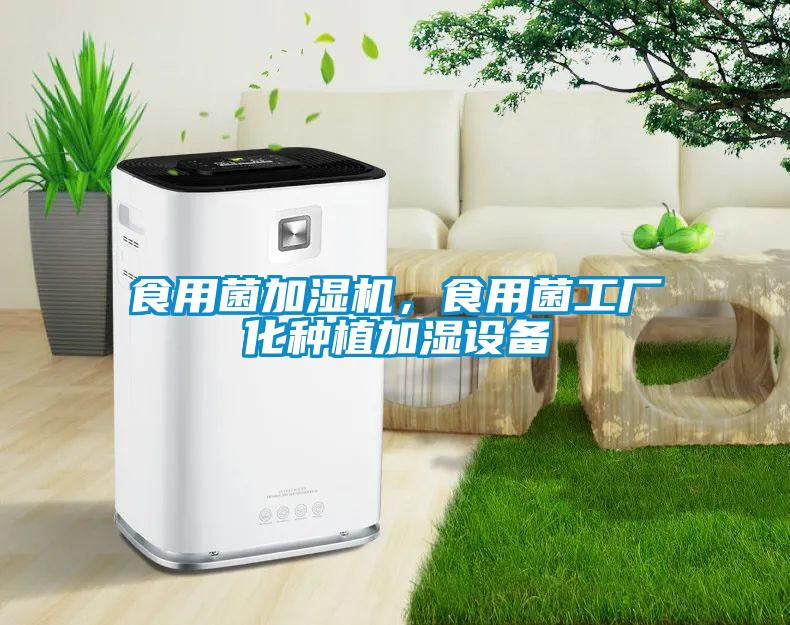 食用菌加濕機，食用菌工廠化種植加濕設備