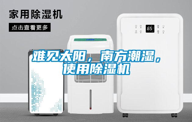 難見太陽，南方潮濕，使用除濕機
