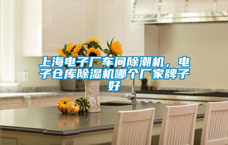 上海電子廠車(chē)間除潮機(jī)，電子倉(cāng)庫(kù)除濕機(jī)哪個(gè)廠家牌子好