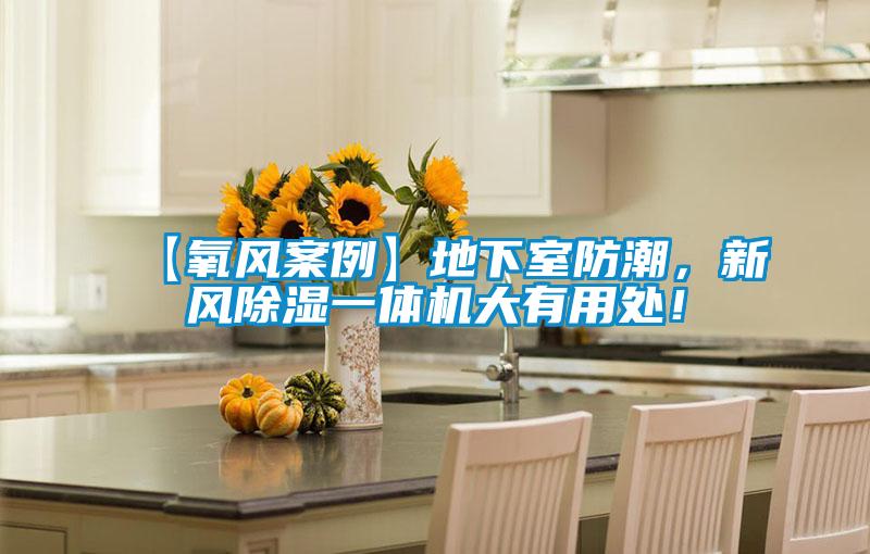 【氧風案例】地下室防潮，新風除濕一體機大有用處！