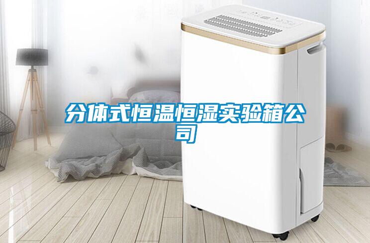 分體式恒溫恒濕實(shí)驗(yàn)箱公司