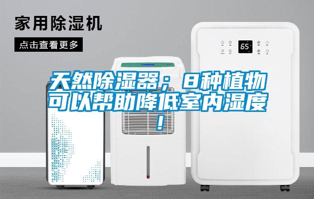 天然除濕器；8種植物可以幫助降低室內(nèi)濕度！
