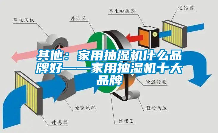其他：家用抽濕機(jī)什么品牌好——家用抽濕機(jī)十大品牌