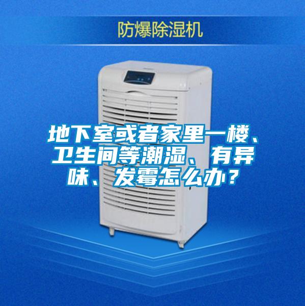 地下室或者家里一樓、衛生間等潮濕、有異味、發霉怎么辦？
