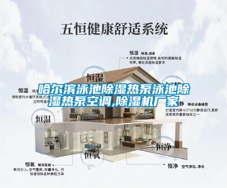 哈爾濱泳池除濕熱泵泳池除濕熱泵空調(diào),除濕機(jī)廠家