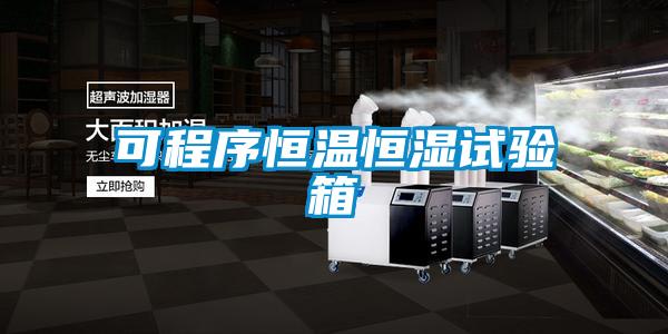 可程序恒溫恒濕試驗(yàn)箱