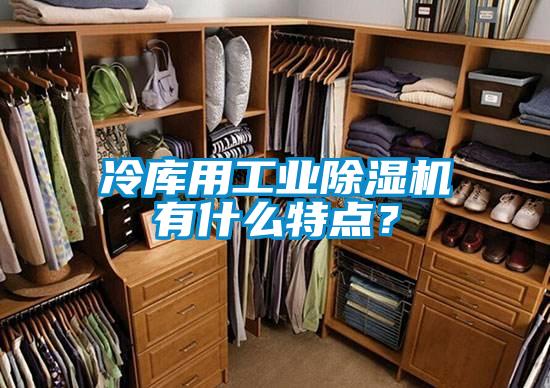 冷庫用工業除濕機有什么特點？
