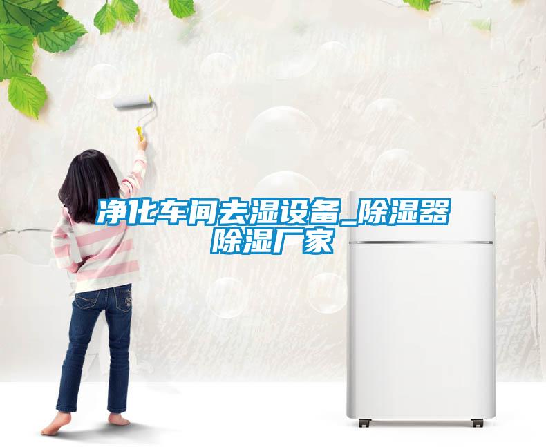 凈化車間去濕設(shè)備_除濕器除濕廠家