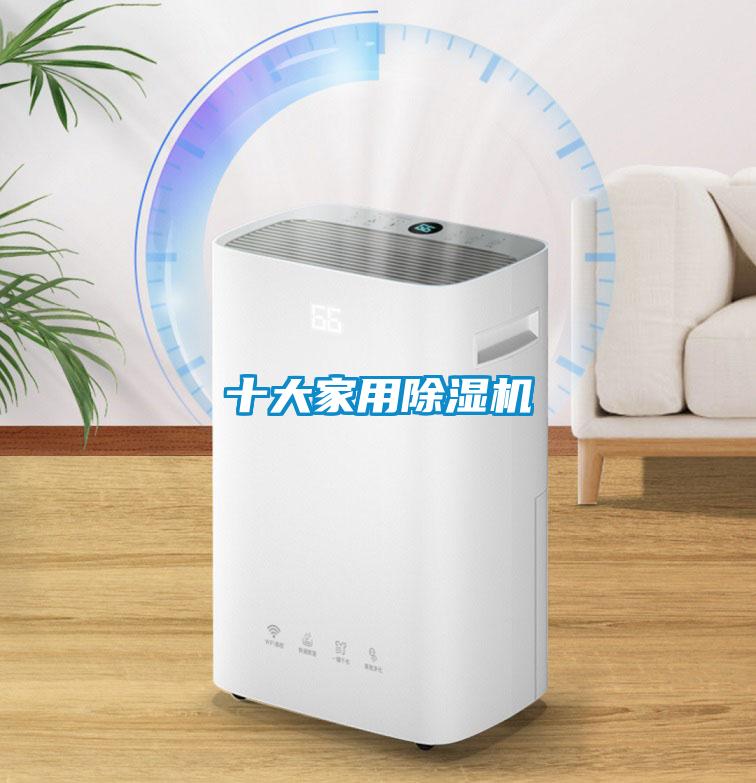 十大家用除濕機(jī)