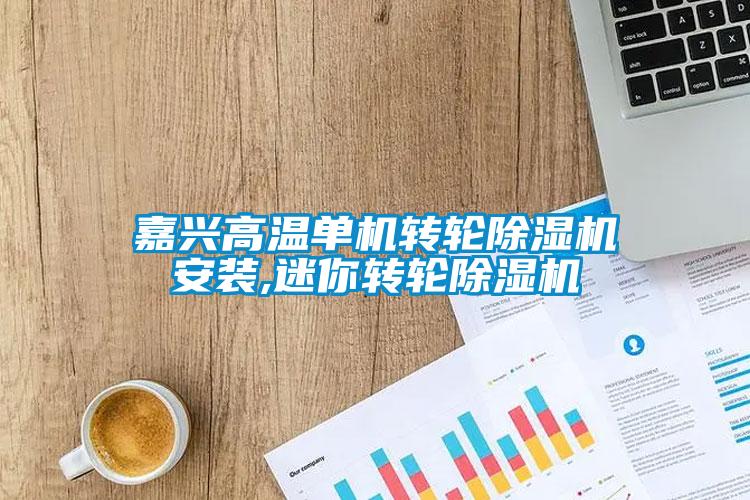 嘉興高溫單機轉輪除濕機安裝,迷你轉輪除濕機