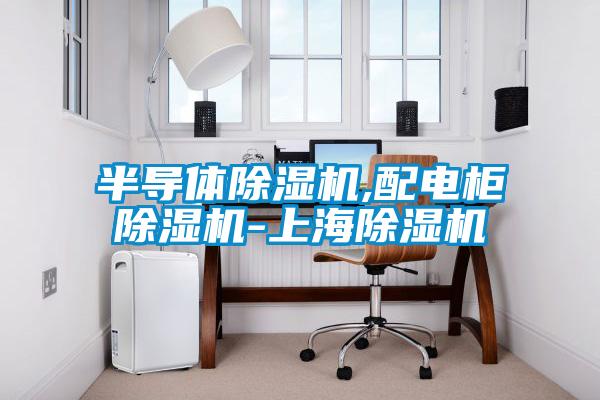 半導(dǎo)體除濕機,配電柜除濕機-上海除濕機